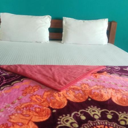 Druva Homestay Hampi Extérieur photo